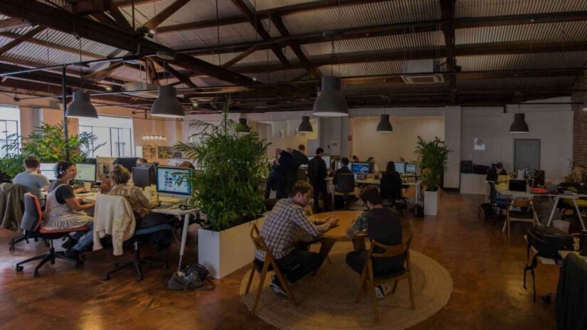 Open-plan office with people working at desks, surrounded by green plants and warm lighting. Casual atmosphere with a rustic wooden ceiling.