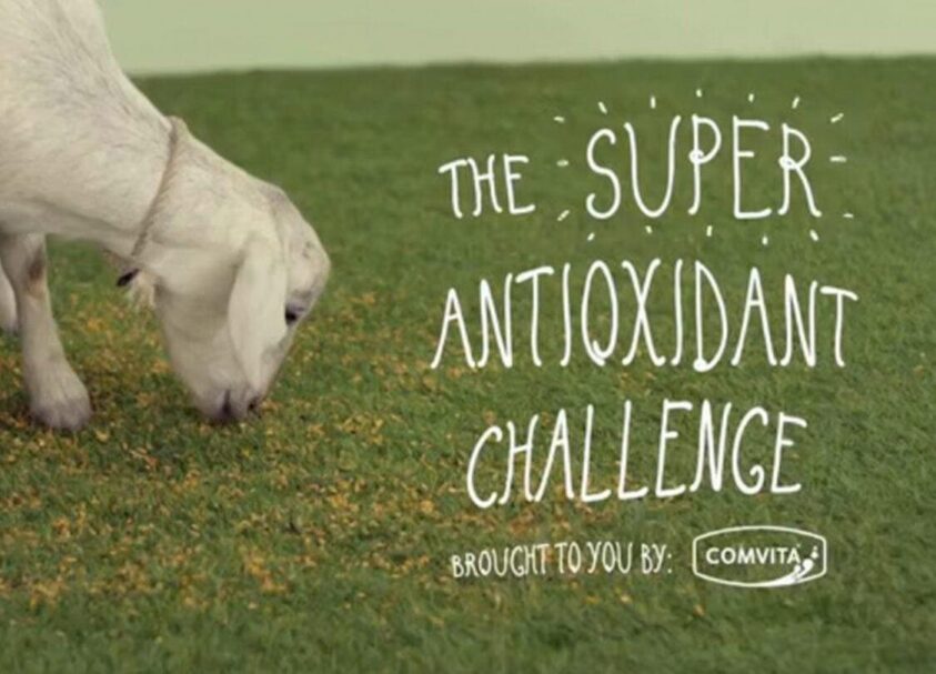 Comvita. The super antioxidant challenge