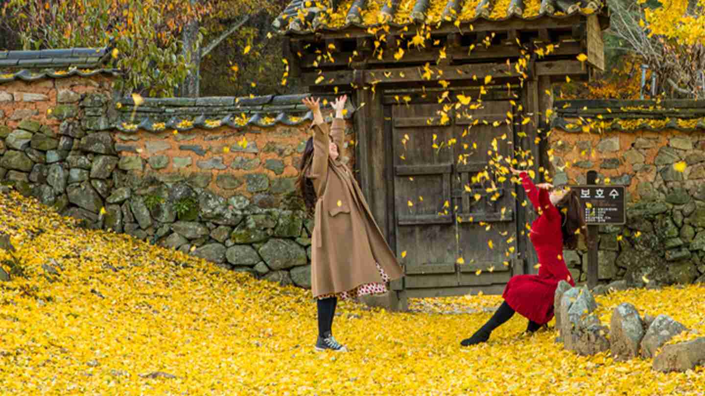 Unlock korea: inviting australians to discover a land of wonders - reborn - digital creative agency in sydney Unlock Korea: Inviting Australians to Discover a Land of Wonders